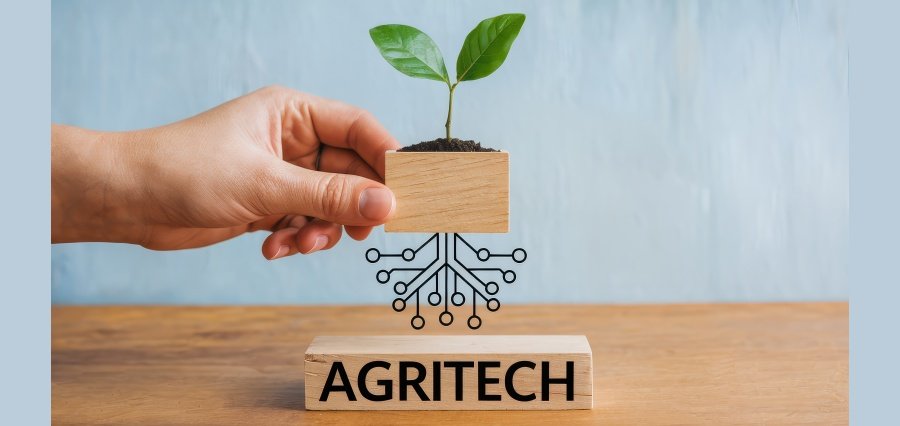 You are currently viewing Saudi Agritech Firm Arable Secures $2.55M in Seed Funding to Advance Hydroponic Farming